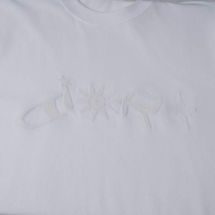 Dior T Shirts Short _SKUDiorS-XLtltx6315662